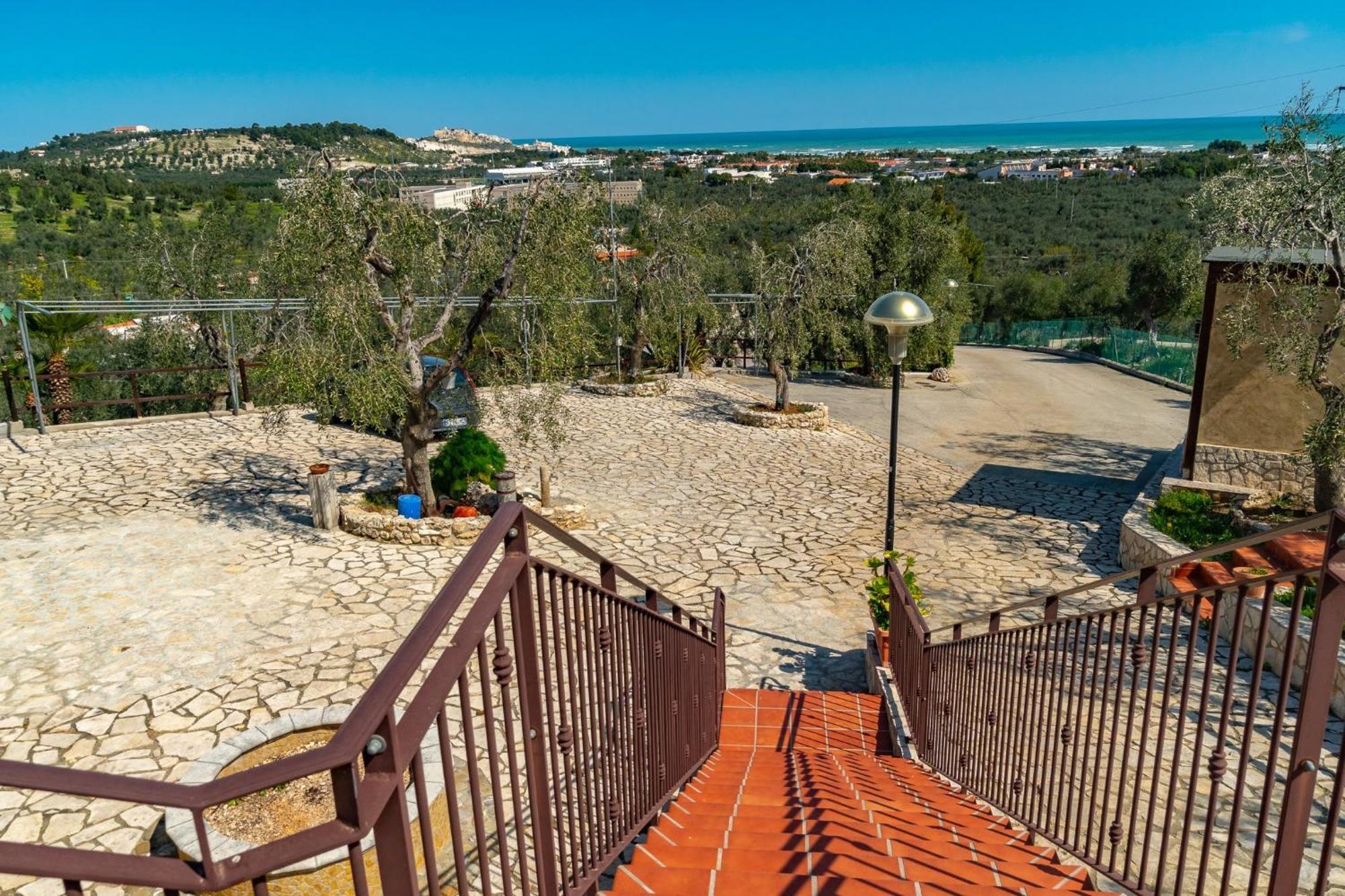 Villa Mapa - Appartamenti Vicino Al Mare Vieste Exterior photo